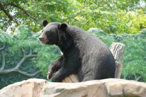 Maîtrisez l"art de captiver les adolescents : le guide incontournable pour animer des ateliers d"écriture créative dynamiques !