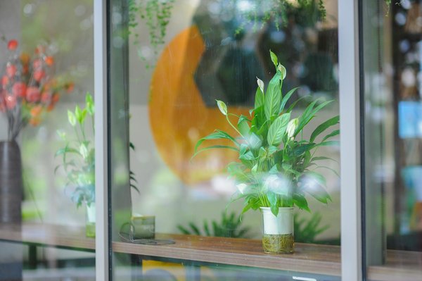 Explore les fonctionnalités de baboon : le tchat européen pour des rencontres réelles