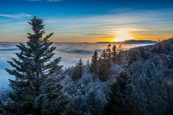 Évadez-vous au cœur des alpes avec oasis portes du soleil